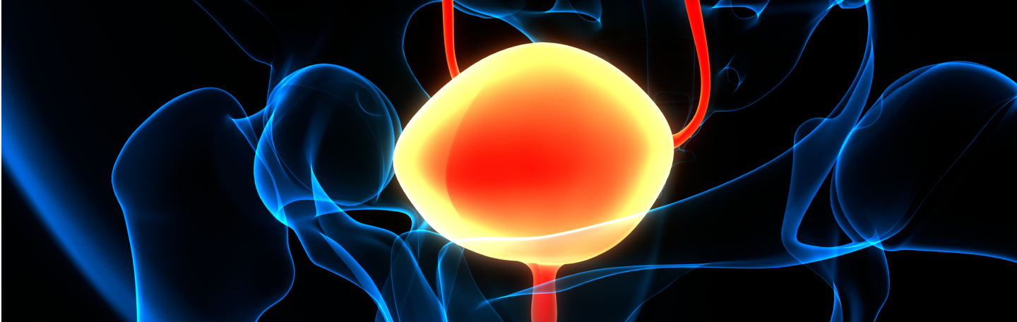 GI Cancer Visualization